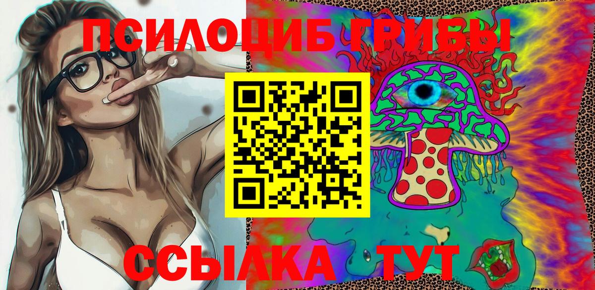Галлюциногенные грибы ЛСД  Вход с VPN  Псилоцибиновые грибы мицелий  наркошоп  Георгиевск 